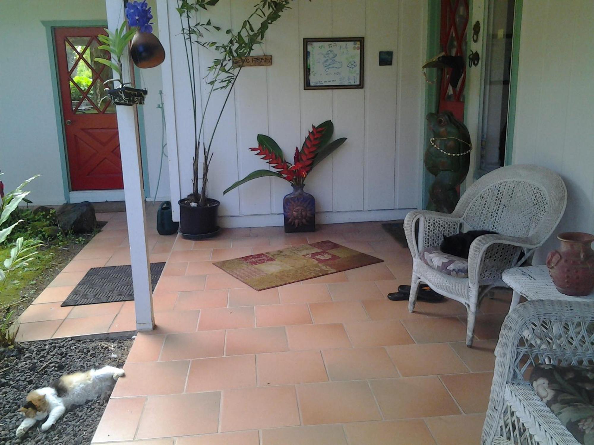 Lava Tree Tropic Inn Pahoa Kültér fotó